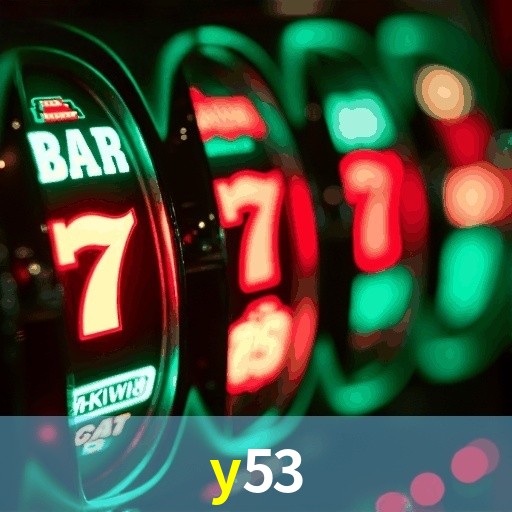 Y53